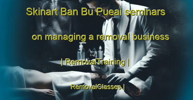 Skinart Ban Bu Pueai seminars on managing a removal business | RemovalTraining | RemovalClasses | SkinartTraining-Thailand